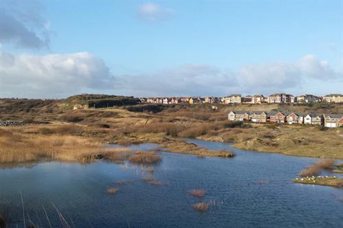 Wetlands